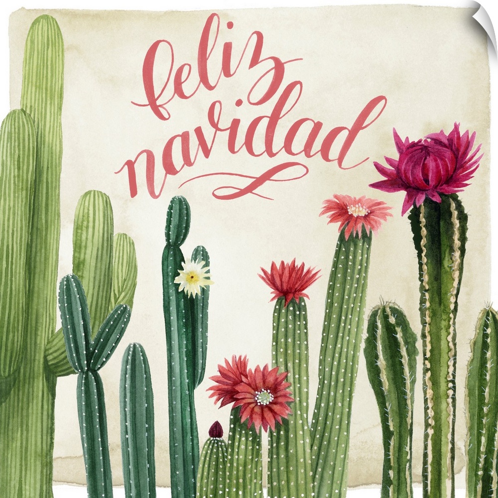 A clever holiday design of "Feliz Navidad" above a row of blooming cactus.