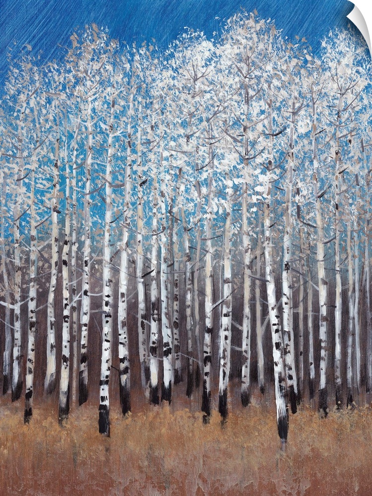 Contemporary painting of a forest of white birch trees under a blue sky.