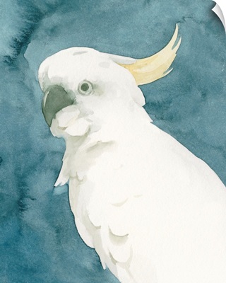 Cockatoo Portrait II