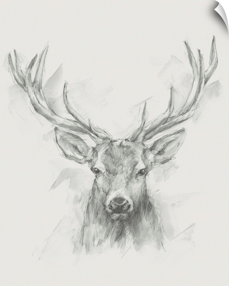 Contemporary Elk Sketch I