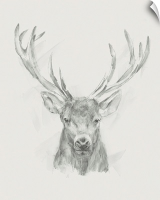 Contemporary Elk Sketch II