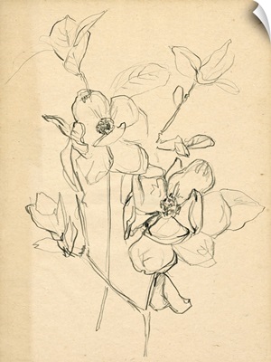 Contour Flower Sketch II