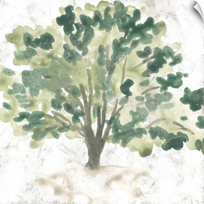 Country Tree I