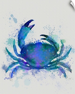 Crab 1 Blue Rainbow Splash