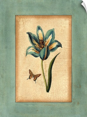 Crackled Spa Blue Tulip III