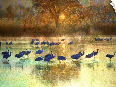 Cranes in Mist II