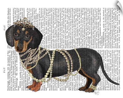 Dachshund and Pearls