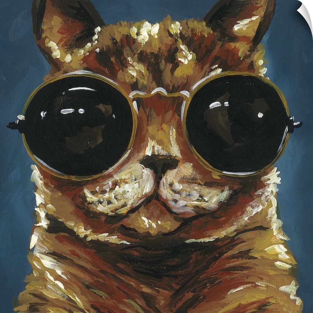 A engaging portrait of a cat wearing gold rimmed sunglasses on a grey/blue  background.