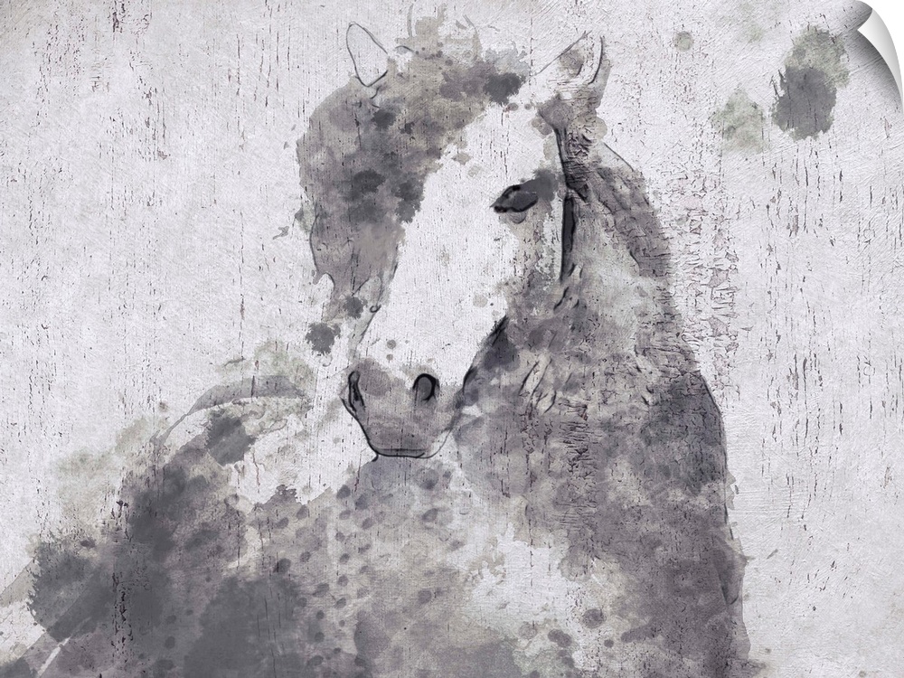 A creative image of a gray horse over a white wood board.