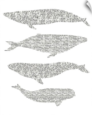 Dashed Whale Chart II
