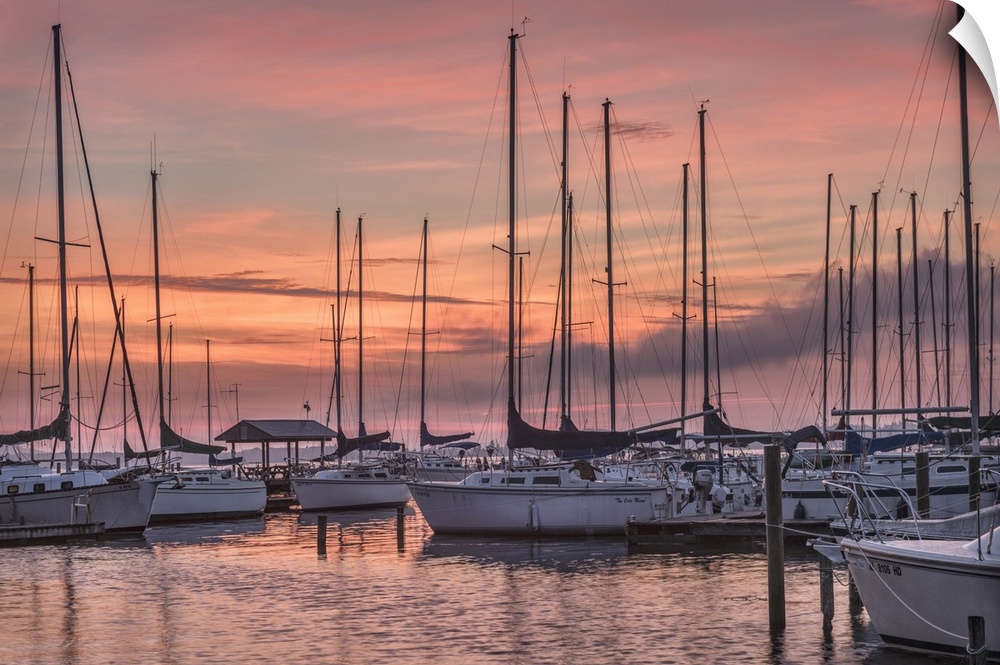 A serene photo featuring sailboats huddled in a marina while the sun rises in the background
