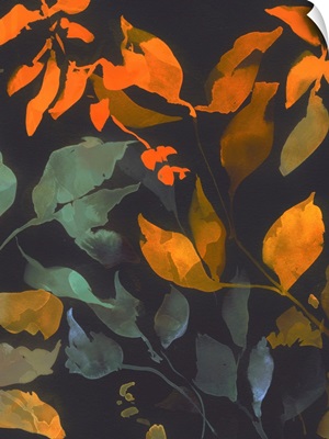 Deep Autumn Canopy II