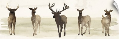 Deer Line II