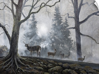 Deer Path I