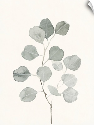 Delicate Sage Botanical I