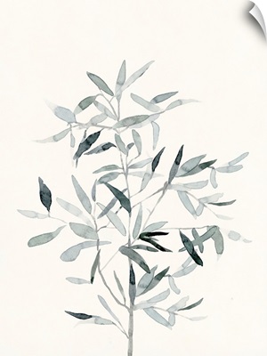 Delicate Sage Botanical VI