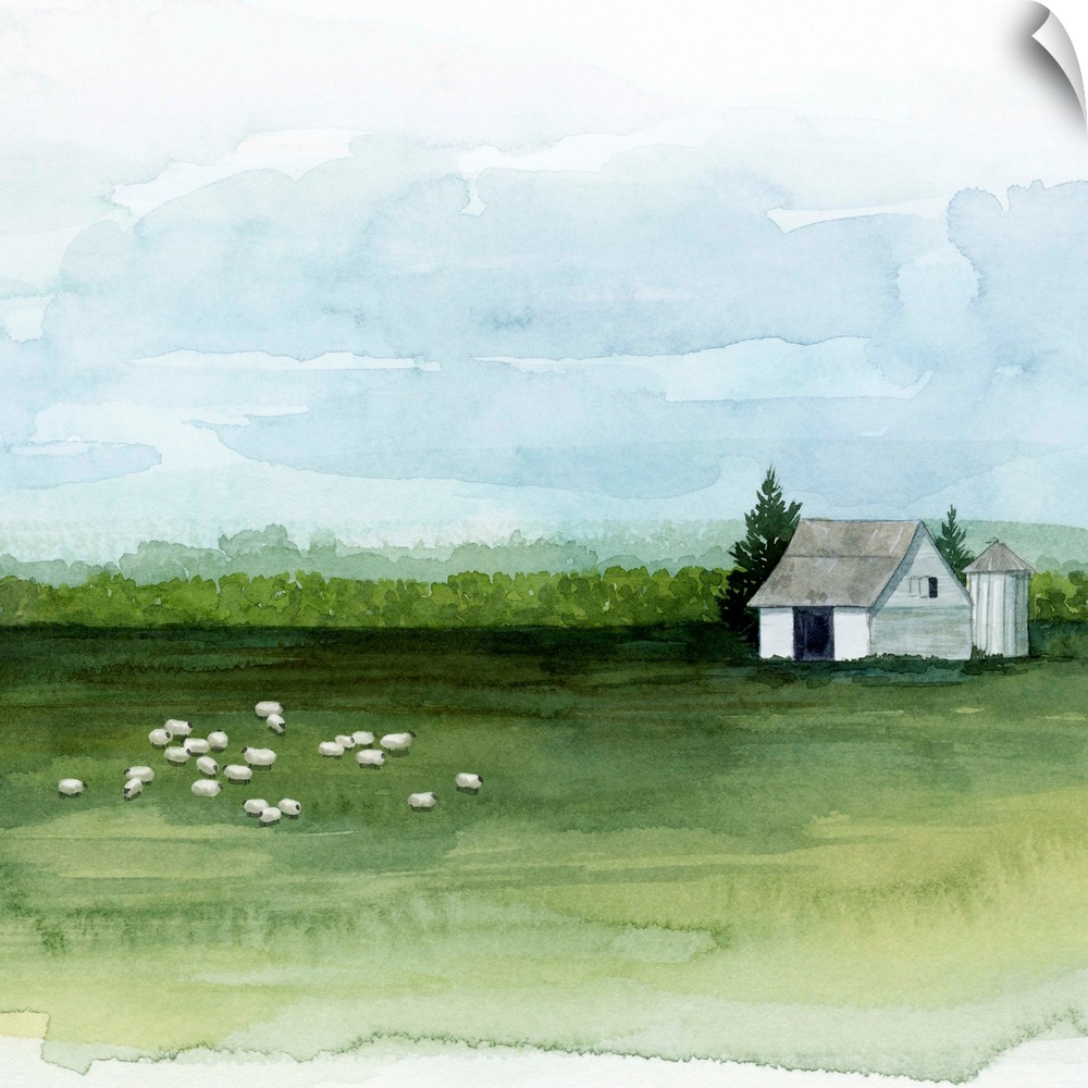 Watercolor painting of barn on a farm with a herd of sheep grazing at pasture.