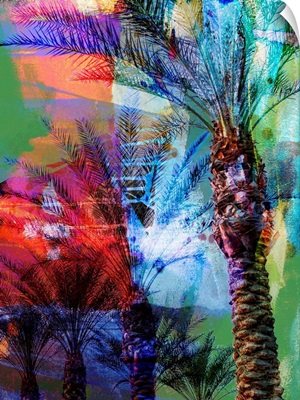 Desert Palm Abstract