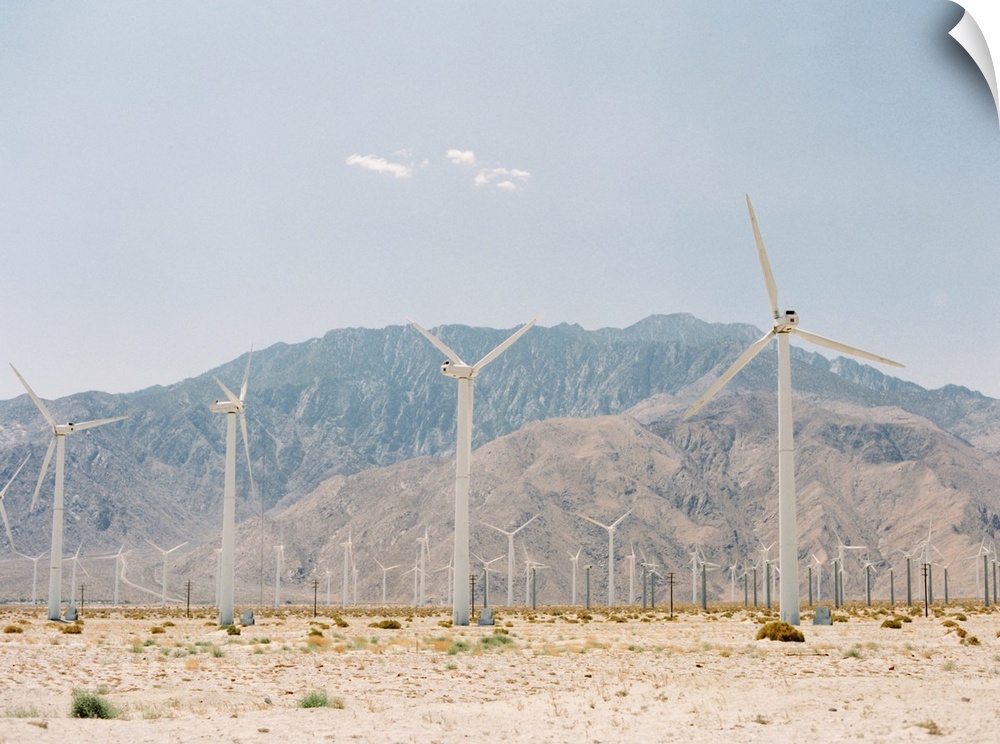 Photograph of a wind power farm outside of Palm Springs, California.