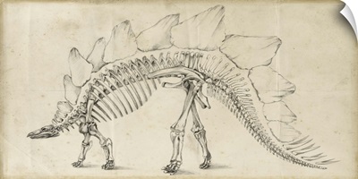 Dinosaur Study III