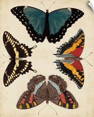 Display of Butterflies I