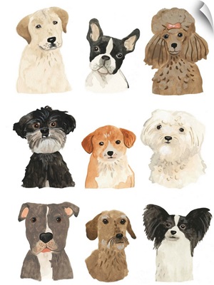 Doggos & Puppers II