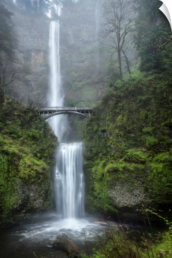 Photograph of a serene waterfall among vibrant greenery vegetation in the mist.