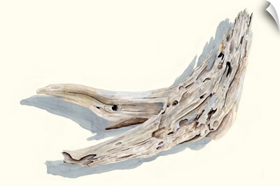 Driftwood Study III