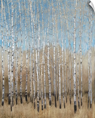 Dusty Blue Birches I