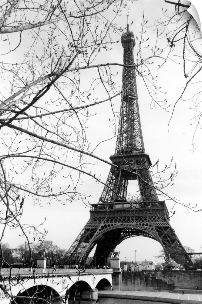 View of the Eiffel Tower through the budding tree branches at the base of the Seine River.
