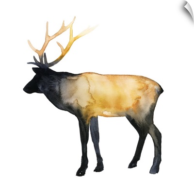 Elk Aglow I