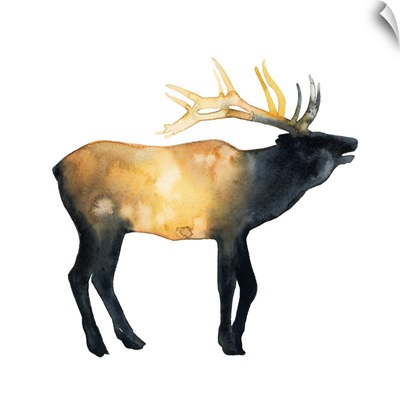 Elk Aglow II