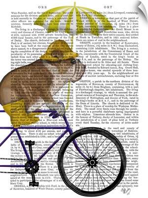 English Bulldog on Bicycle