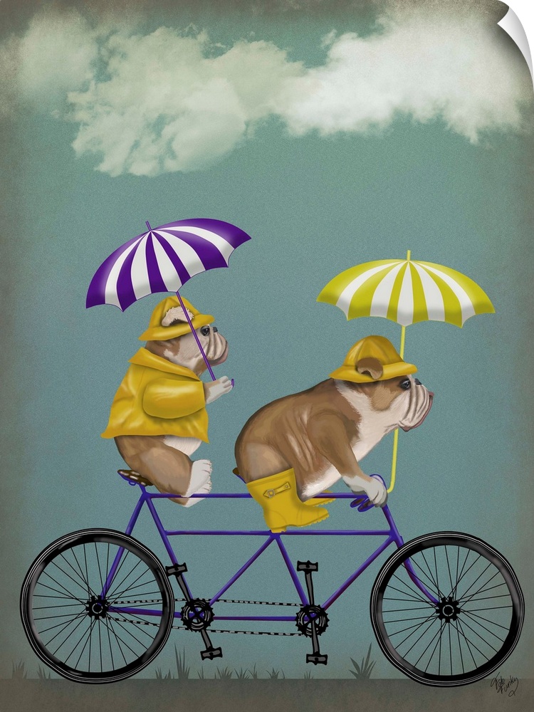 Decorative artwork of tow English Bulldogs wearing bright yellow rain gear riding on a purple tandem bicycle with purple a...