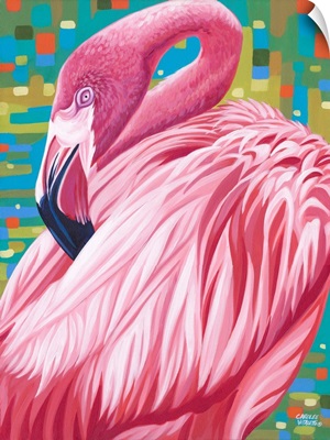 Fabulous Flamingos II
