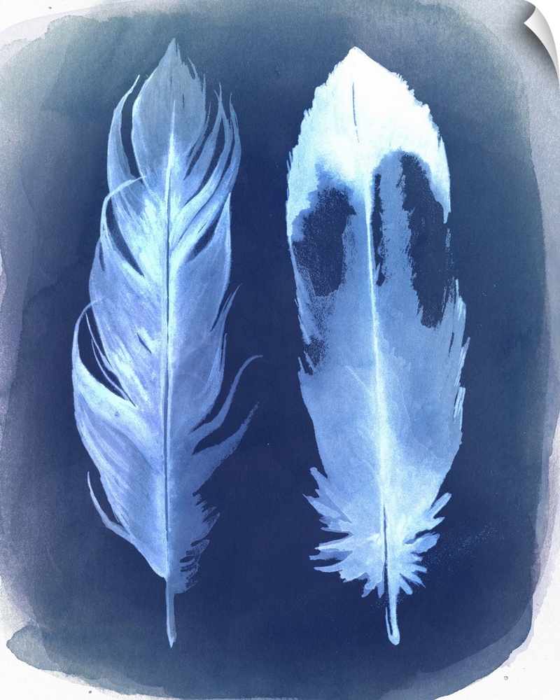 Watercolor painting of two feathers, with the appearance of a film negative.