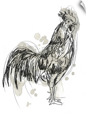 Feathered Fowl III