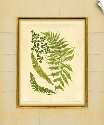 Fern with Crackle Mat II