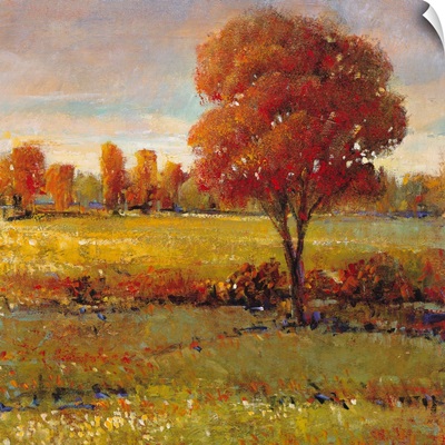 Field in Fall