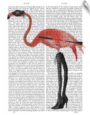 Flamingo with Kinky Boots