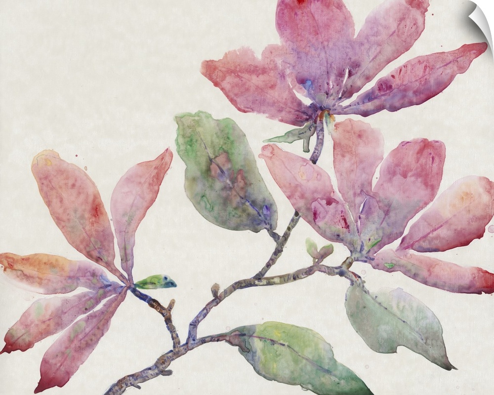 Stylish watercolor painting of a floral filled branch of blended tones of red, purple, orange and green.