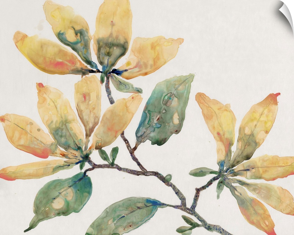 Stylish watercolor painting of a floral filled branch of blended tones of yellow, blue, orange and green.