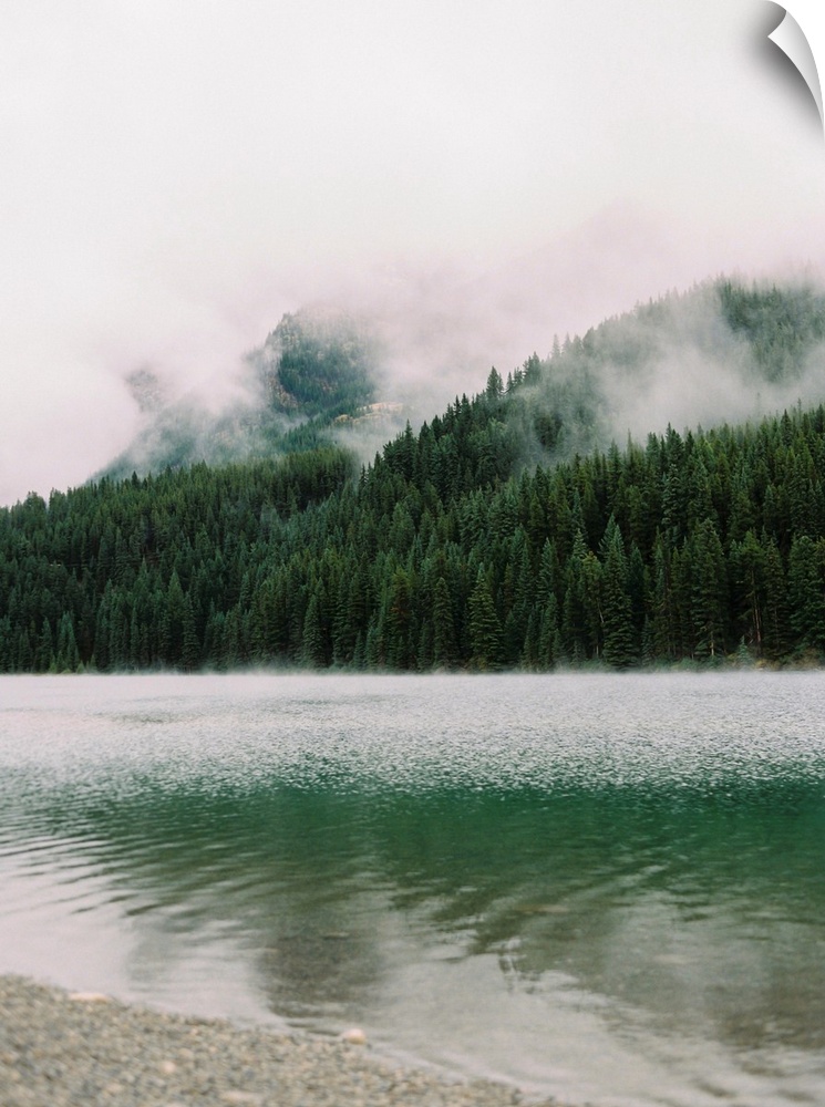 A photograph of dense evergreen trees by the side of a clear lake interspersed with low clouds and mist.