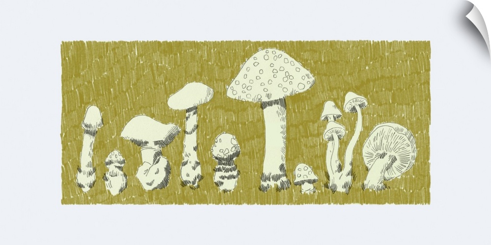 Forest Fungi II