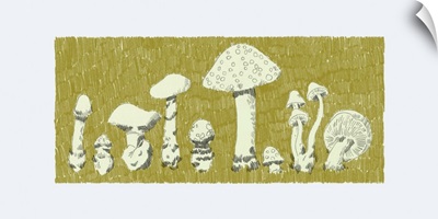 Forest Fungi II