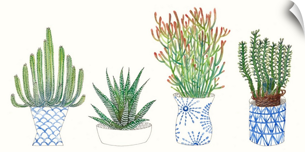 Cute illustrations of four potted succulents of varying sizes and shapes.