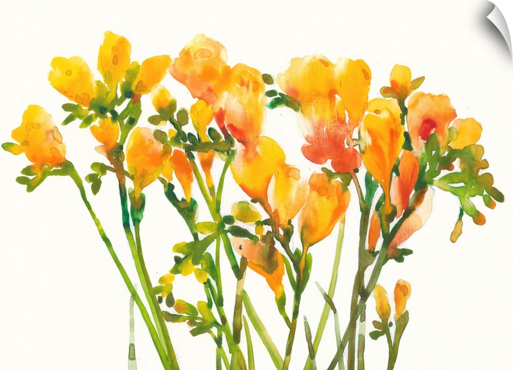 Vibrant orange flowers together against a light cream background.