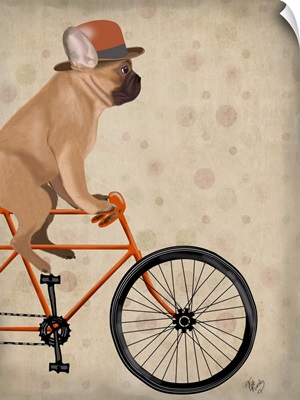 French Bulldog on Bicycle