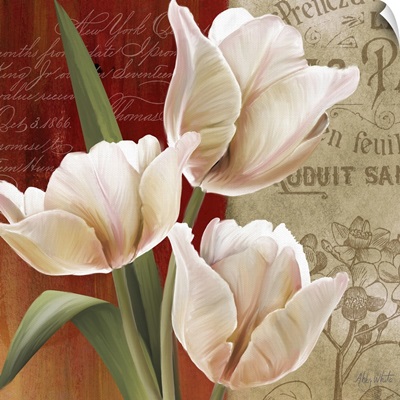French Tulip Collage II