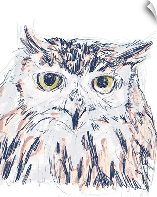 Funky Owl Portrait III